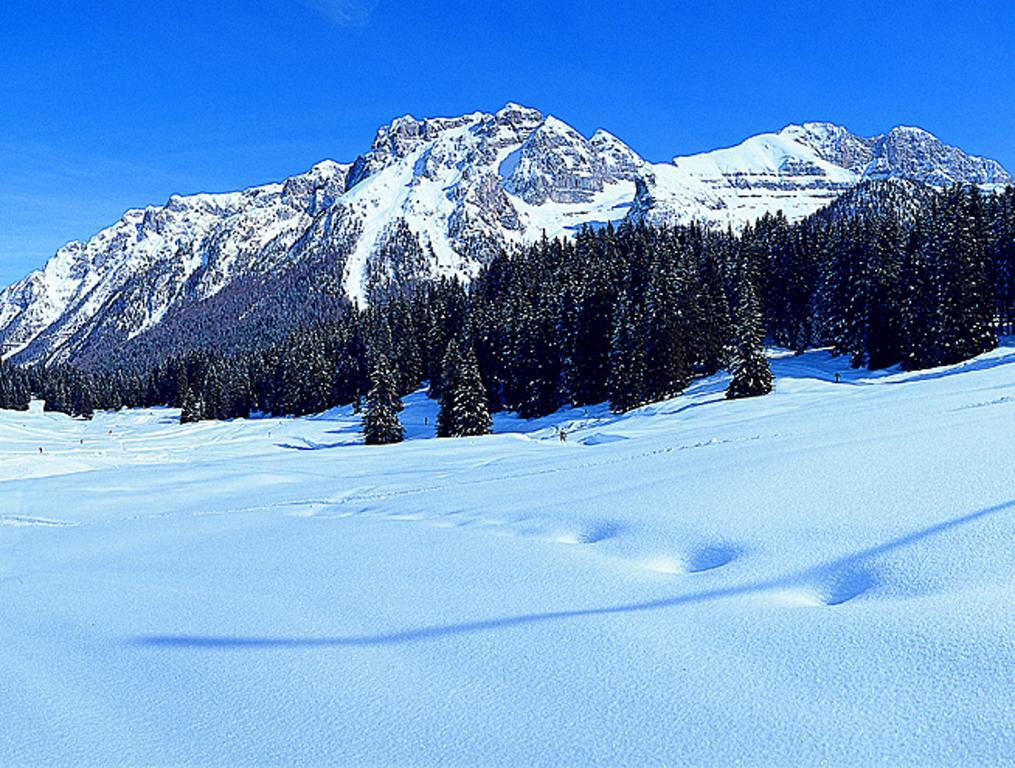 Apartamento Campiglio Trilocale Monte Spinale Madonna Habitación foto